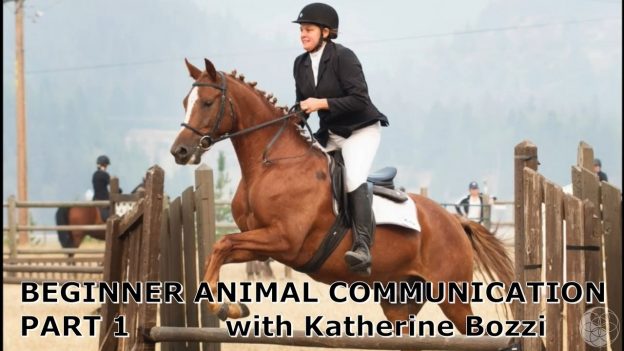 Beginner Animal Communication - Part 1