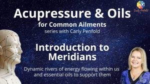 Introduction to Meridians