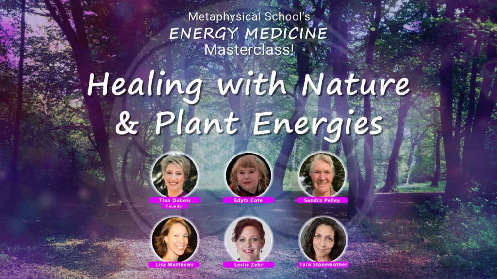 Healing with Nature & Plant Energies