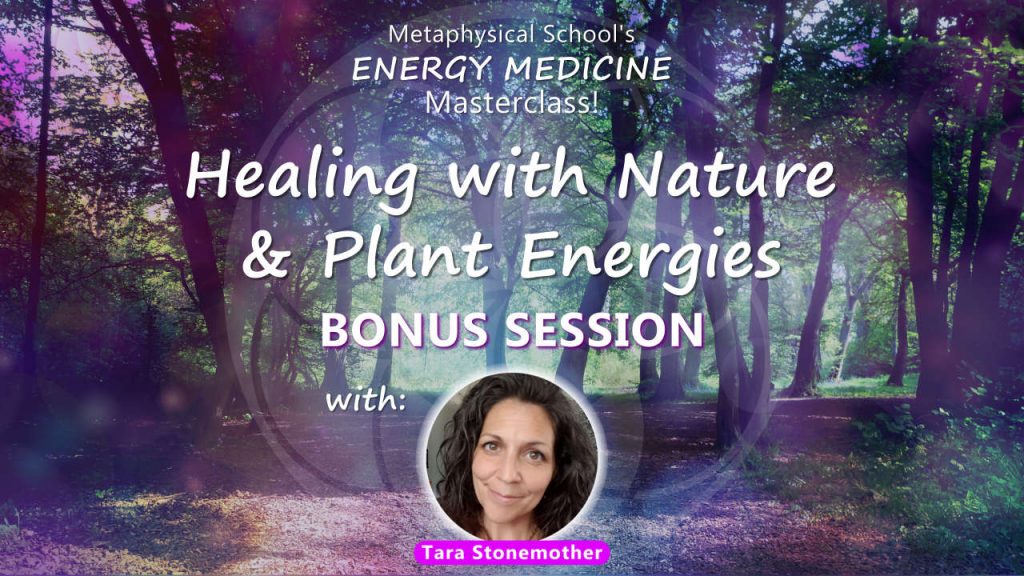 BONUS - Tara Stonemother - Healing with Nature & Plant Energies